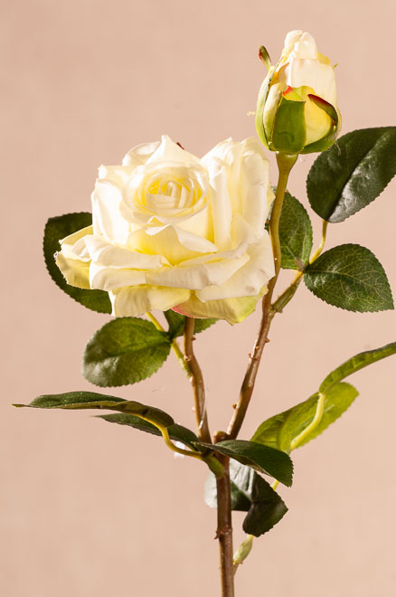 F11788 Krásná umělá růže krémová 48 cm od Paramit